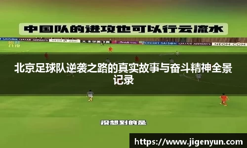 南宫ng28